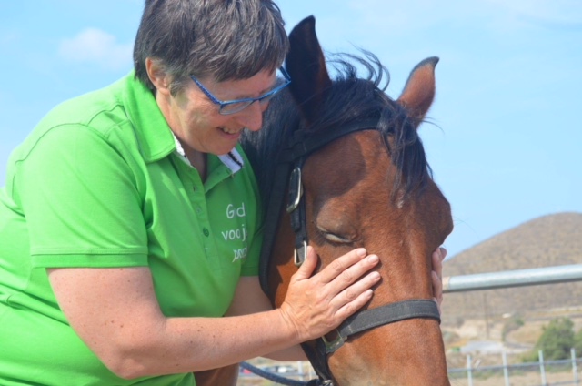 Pascale Ossevoort, Energetisch paardentherapeut