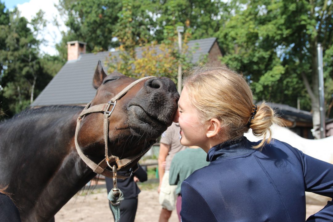 Try-out Werken met kruiden voor paarden bij GoedvoorjePaard in Rucphen (NL) op zaterdag 23 september 2023