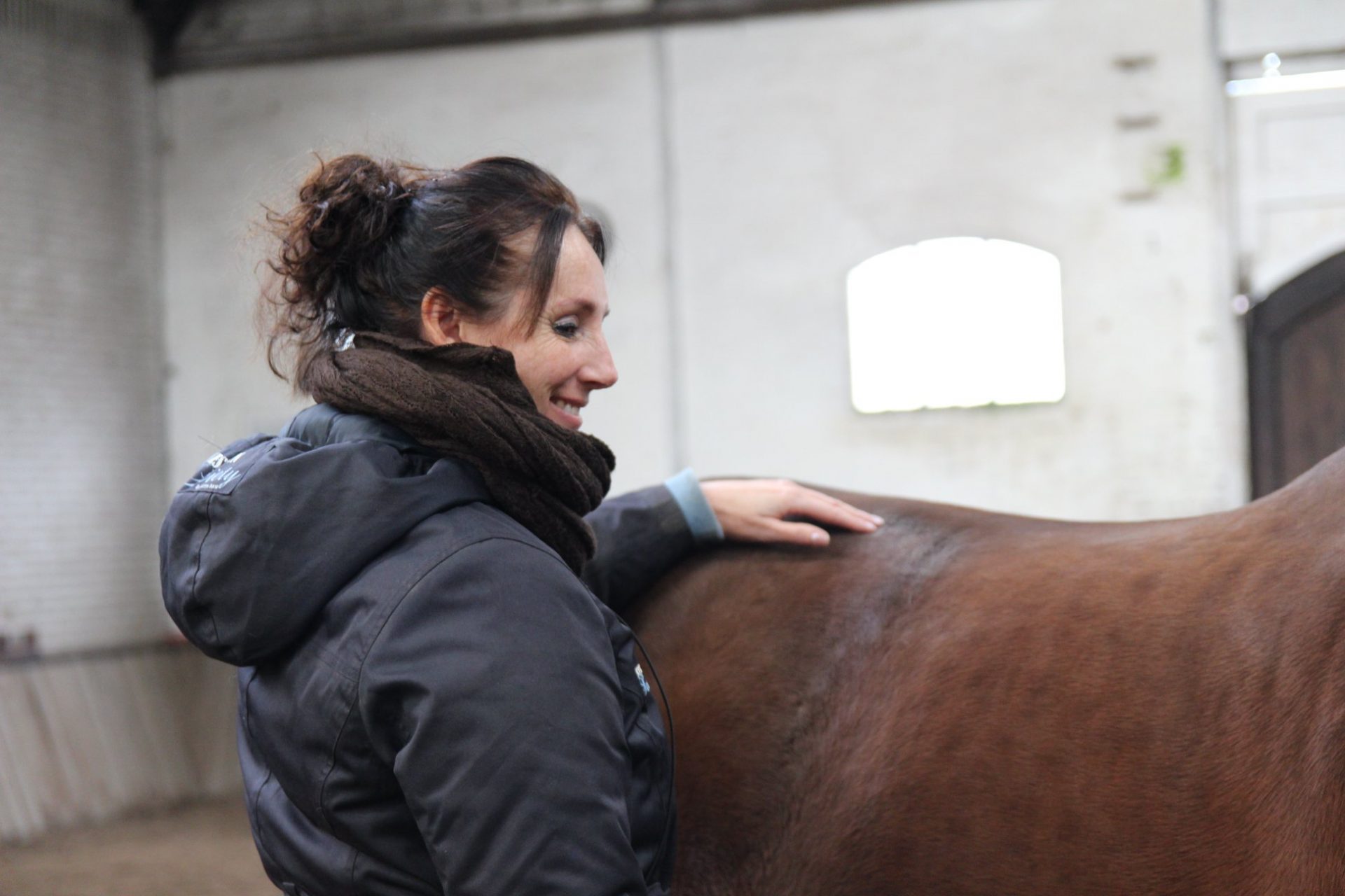 Cursus Energetische Paardenmassage bij The Old Horses Lodge in Laarne (B) op zaterdag 25 en zondag 26 juni 2022