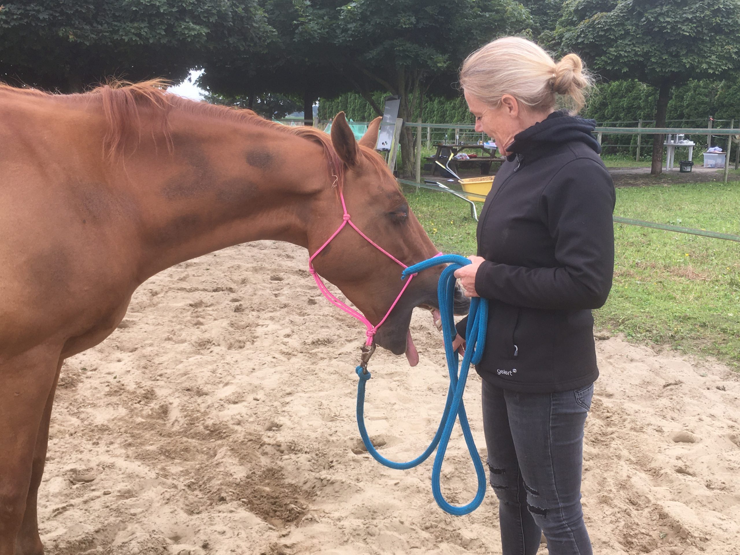The Masterson Method® demo-workshop bij Goed voor je Paard in Rucphen (NL) op zaterdag 2 juli 2022