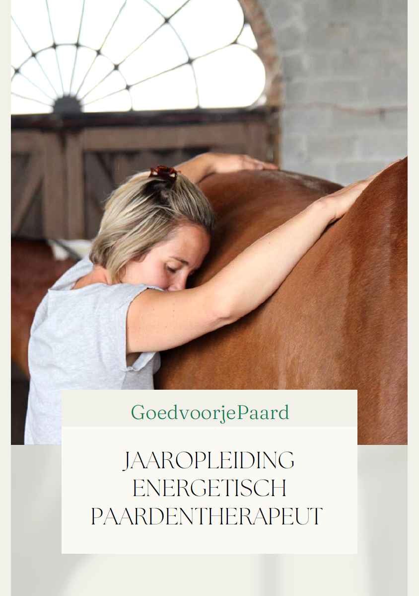 Jaartraining Energetisch Paardentherapeut 2023 in Rucphen bij Goed voor je Paard