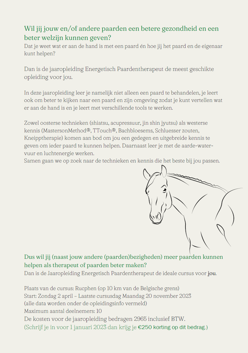 Jaartraining Energetisch Paardentherapeut 2023 in Rucphen bij Goed voor je Paard