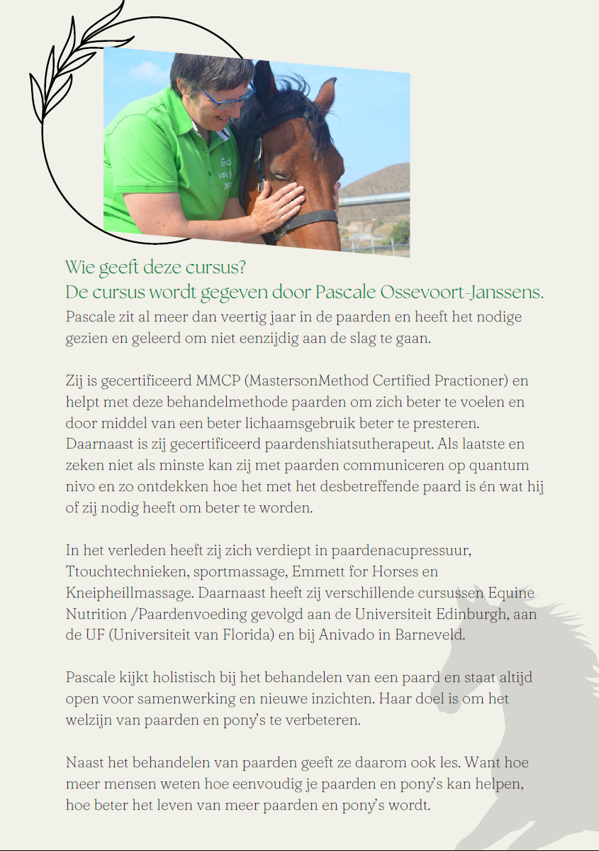 Jaartraining Energetisch Paardentherapeut 2023 in Laarne bij The Old Horses Lodge